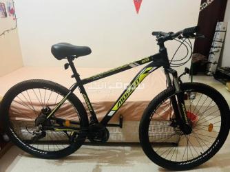 Couples bicycles with accessories and Christmas tree for free - 3