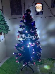 Couples bicycles with accessories and Christmas tree for free - 6