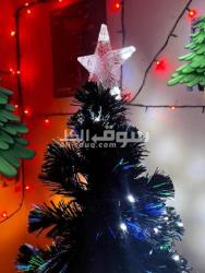 Couples bicycles with accessories and Christmas tree for free - 7