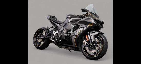 2023 Kawasaki ninja ZX-10R - 3