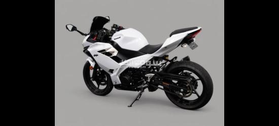 2020 Kawasaki ninja 400