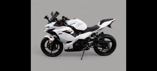 2020 Kawasaki ninja 400 - 2