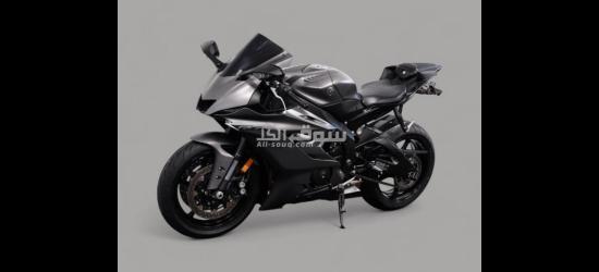 2019 Yamaha R6 - 2