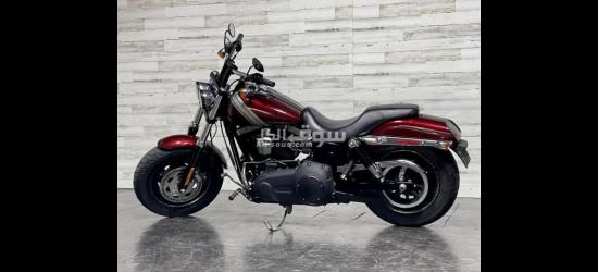 2015 Harley-Davidson Dyna Fat-bob - 3
